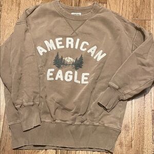 American Eagle Outfitters Brown Crewneck Sweater